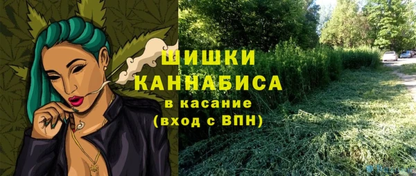 гашик Щучье