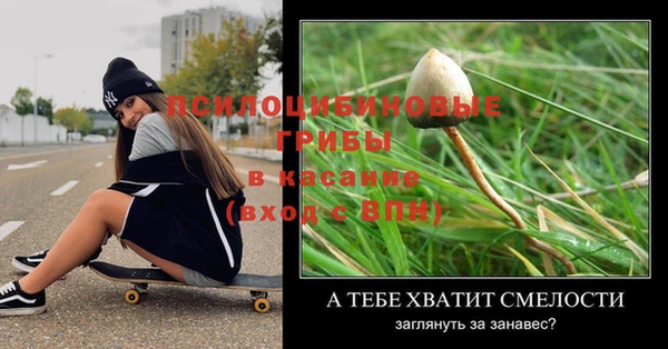 крисы Щигры